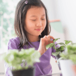 Ein junges Mädchen in einem lila Hemd berührt sanft die Blätter einer Topfpflanze im Haus, lächelt sanft und konzentriert sich auf das Grün vor ihr.