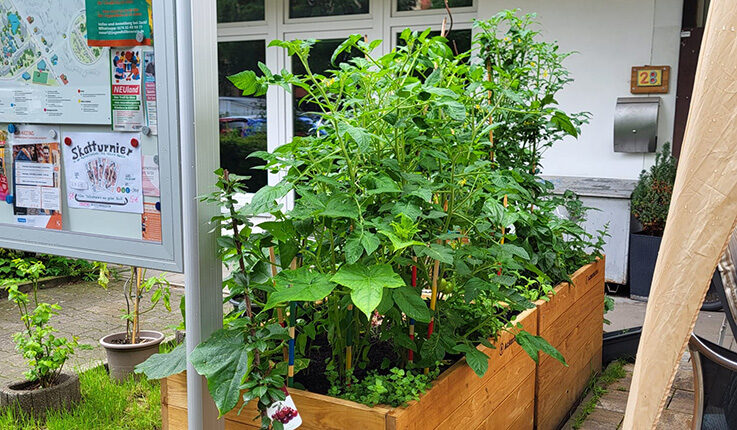 Ein hölzernes Hochbeet mit üppigen grünen Pflanzen, wahrscheinlich Tomaten, steht neben einem Gebäude des Familienzentrums mit großen Fenstern. An einer Pinnwand in der Nähe hängen bunte Zettel und Karten, die auf städtische Gartenprojekte hinweisen.