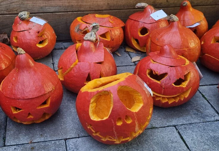 Mehrere geschnitzte Kürbisse mit gruseligen Gesichtern sind auf Steinplatten im Außenbereich der BUSSTOP Familienzentrum Halloween Party ausgestellt, jeder mit einem einzigartigen Gesichtsausdruck. Bei den orangefarbenen Kürbissen sind die Spitzen schräg aufgesetzt.
